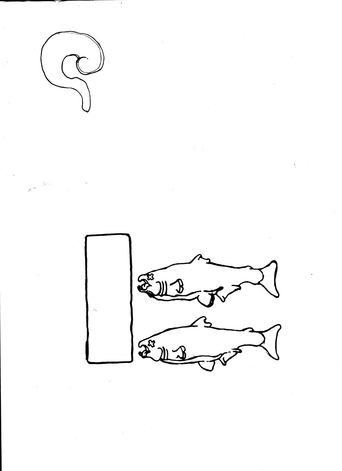 Fish animation tacing paper